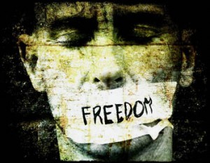 freedomexp